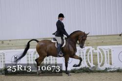 25R13_10673 thumbnail