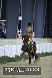 25R13_10688 thumbnail