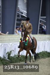 25R13_10689 thumbnail