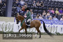 25R13_10699 thumbnail