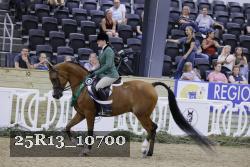 25R13_10700 thumbnail