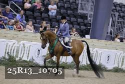 25R13_10705 thumbnail