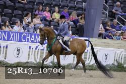 25R13_10706 thumbnail
