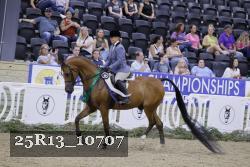 25R13_10707 thumbnail