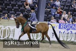 25R13_10708 thumbnail