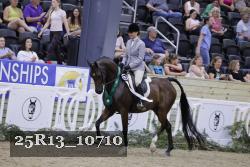 25R13_10710 thumbnail