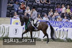 25R13_10711 thumbnail