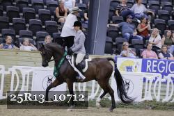 25R13_10712 thumbnail