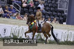 25R13_10714 thumbnail