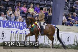 25R13_10715 thumbnail