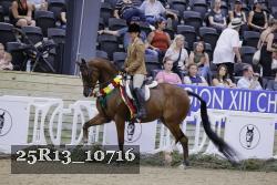 25R13_10716 thumbnail