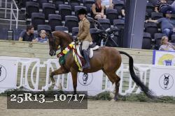 25R13_10717 thumbnail