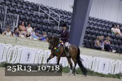 25R13_10718 thumbnail