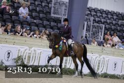 25R13_10719 thumbnail