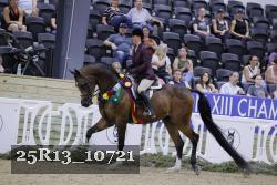 25R13_10721 thumbnail