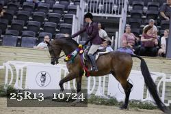 25R13_10724 thumbnail