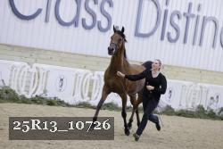25R13_10726 thumbnail