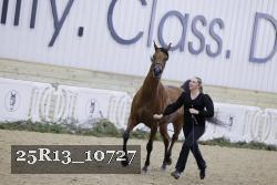 25R13_10727 thumbnail