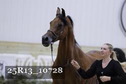 25R13_10728 thumbnail