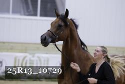 25R13_10729 thumbnail
