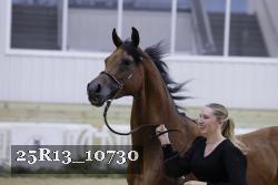 25R13_10730 thumbnail