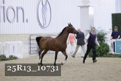 25R13_10731 thumbnail