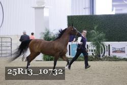 25R13_10732 thumbnail