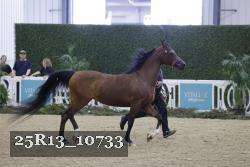 25R13_10733 thumbnail