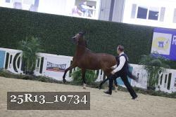 25R13_10734 thumbnail