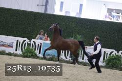 25R13_10735 thumbnail