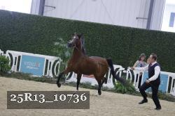 25R13_10736 thumbnail
