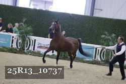 25R13_10737 thumbnail