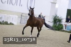 25R13_10738 thumbnail