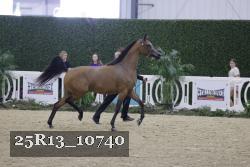 25R13_10740 thumbnail