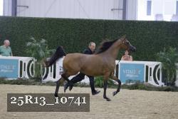 25R13_10741 thumbnail