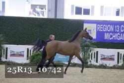 25R13_10742 thumbnail