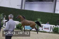 25R13_10743 thumbnail