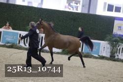 25R13_10744 thumbnail