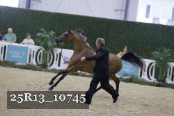 25R13_10745 thumbnail