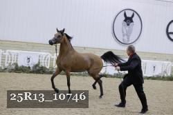 25R13_10746 thumbnail