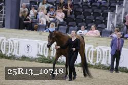 25R13_10748 thumbnail