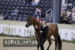 25R13_10749 thumbnail