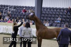 25R13_10750 thumbnail