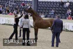 25R13_10751 thumbnail