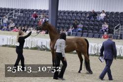 25R13_10752 thumbnail