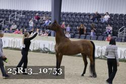 25R13_10753 thumbnail