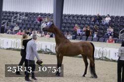 25R13_10754 thumbnail