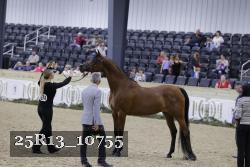 25R13_10755 thumbnail