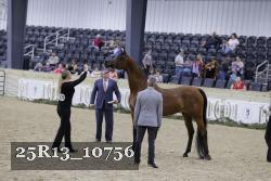 25R13_10756 thumbnail