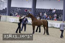 25R13_10757 thumbnail